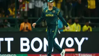 Related Stories banner