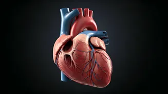 5 Hidden Dangers: Everyday Drugs Harming Your Heart