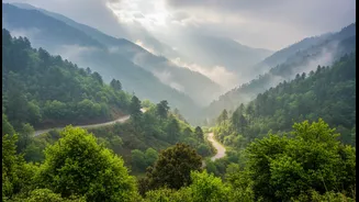 Monsoon In Himachal Rewards Flexible Travellers
