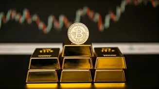 Where Should You Invest Near Market Highs?