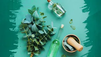 African Beauty Traditions Around Eucalyptus Need Context, Not Cure Claims