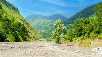 Quiet Green Hideaways: Offbeat Himachal Monsoon Retreats In Tirthan Valley And Shoja