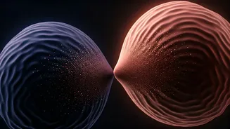 Astrologia e Beijos: Descubra os Signos com os Beijos Mais Inesquecíveis do Zodíaco!