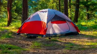 Top Forest Camping Reserves In South India Offering Milder Weather For Winter Adventures
