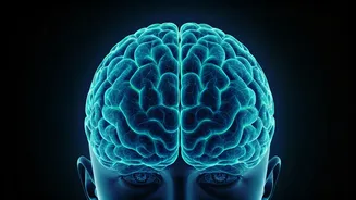 10 Morning Habits: Supercharge Kids' Brains!