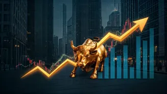 Indian Stock Market Wrap: Key Highlights & Trends
