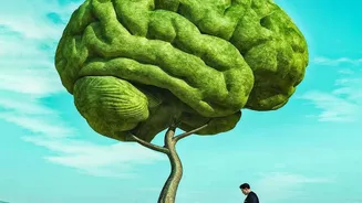 The The Science Of Remembering Angle In The New Memory Research Story