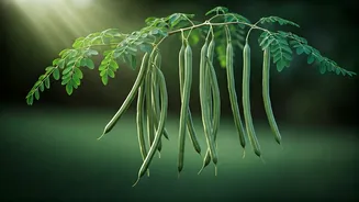 Moringa Is The Green Add-On Worth Saving