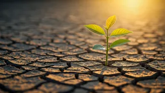 Cultivating Resilience: Helping Children Thrive in an Ever-Changing World