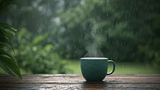 Kerala Monsoon Vibe: Infinite Greenery, Low Costs, Hot Tea