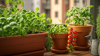 This Tiny Garden Trend Is Taking Over Cities