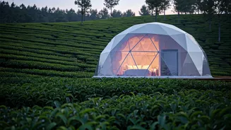 Sleep Under Clouds Inside Trendy Geodesic Glamping Tea Pods