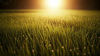 Try Post Workout Barefoot Grass Walking To Release Muscle Tension