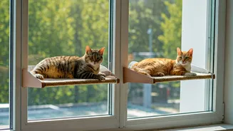 Heavy-Duty Floating Sun Perches Double Feline Apartment Territory Safely