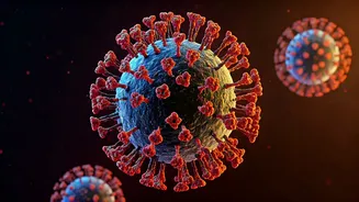 Nipah Virus: Global Concerns & India's Outbreak