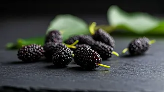 5 Amazing Mulberry Benefits: Boost Your Health Naturally!