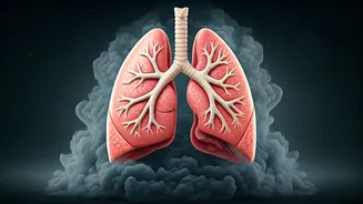 Related Stories banner