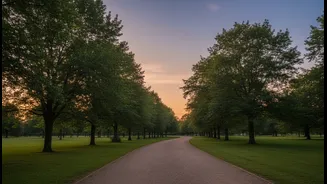 Post-Dinner Strolls Offer A Softer Way To End Sedentary Days
