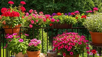 10 Blossoms to Bring Birdsong to Your Balcony Garden