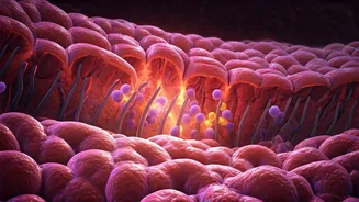 Understanding Celiac Disease: Causes, Symptoms, and Diagnosis