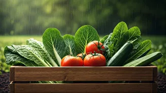 Easy Crops That Love India's Rainy Season