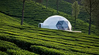 Beautiful Munnar Tea Plantations frame Perfect Romantic Glamping Dome Breaks