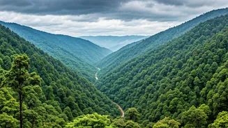 Northeast India Turns Lush And Travel Crazy
