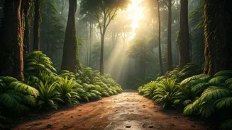 Fewer Tourists Make Monsoon Getaways Feel More Special