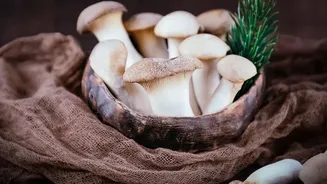 What Food Safety Experts Want You To Know About Wild Mushrooms
