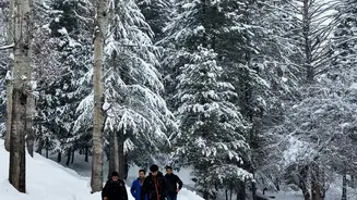 Plan your winter wildlife safari
