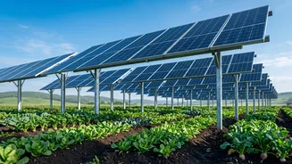 Agrivoltaics: A dual win for India