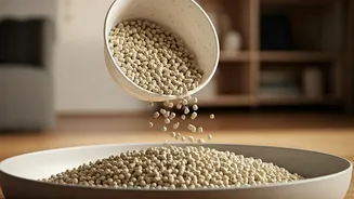 Protect Home Freshness Purchasing Biodegradable Plant Based Tofu Litter