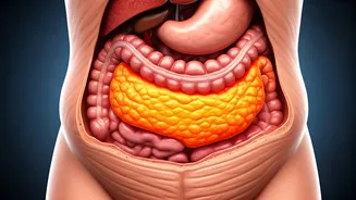 Related Stories banner