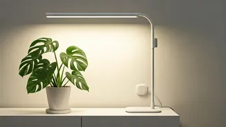Keep Apartment Plants Alive With Smart Plug Grow Lights