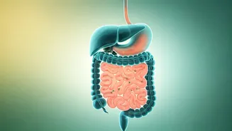 The 10-Minute Habit That May Improve Digestion