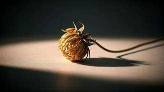 The Expiry Date on Love: Why 37% of Indian Daters Use 'Sunset Clauses' to Dodge Situationships