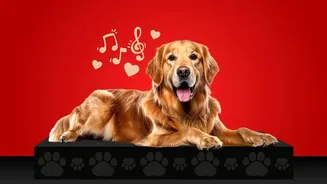 Convert your pet's sounds into playful music tracks with AI