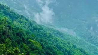 How To Plan A Scenic Rain-Soaked Drive Through Chikmagalur's Winding Roads