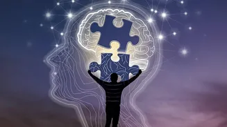 Two Brain Origins: The Story Behind The Finding That Stanford Research Finds Forebrain And Hindbrain Develop From Separate Progenitor Cells With Di...