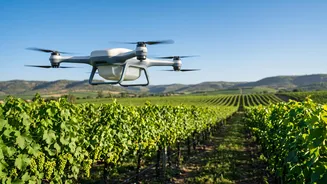 How AI Drones Help Small-Scale Vineyard Owners In Nashik Cut Pesticide Costs