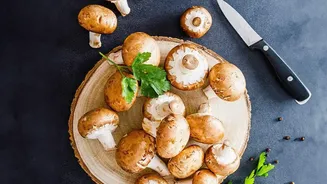 Creative Mushroom Cooking Is Bringing Fresh Energy To Café Menus