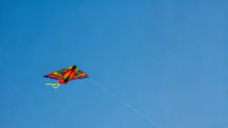 Related Stories banner