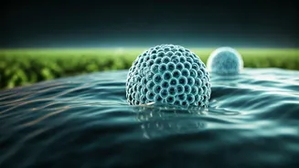 Nano Urea in India: Navigating Health Risks and Environmental Concerns