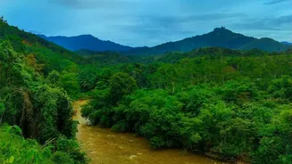 Why Remote Staff Choose Cherrapunji Workations To Enjoy Scenic Monsoon Views