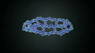 Prioritizing Sleep: A Guide to Enhanced Metabolic Health