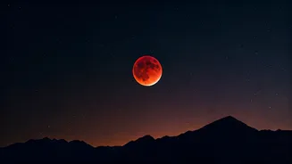 Related Stories banner