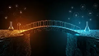 Research Work Can Become A Career Bridge