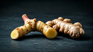 What Makes Galangal Different From Regular Ginger