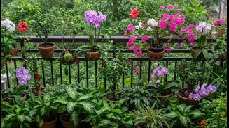 The Next Questions around Monsoon Balcony Micro-Gardens Go Beyond Greens, Gourds, Chillies and Herbs