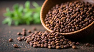 Cassia Tora: A Guide on How to Use This Herb